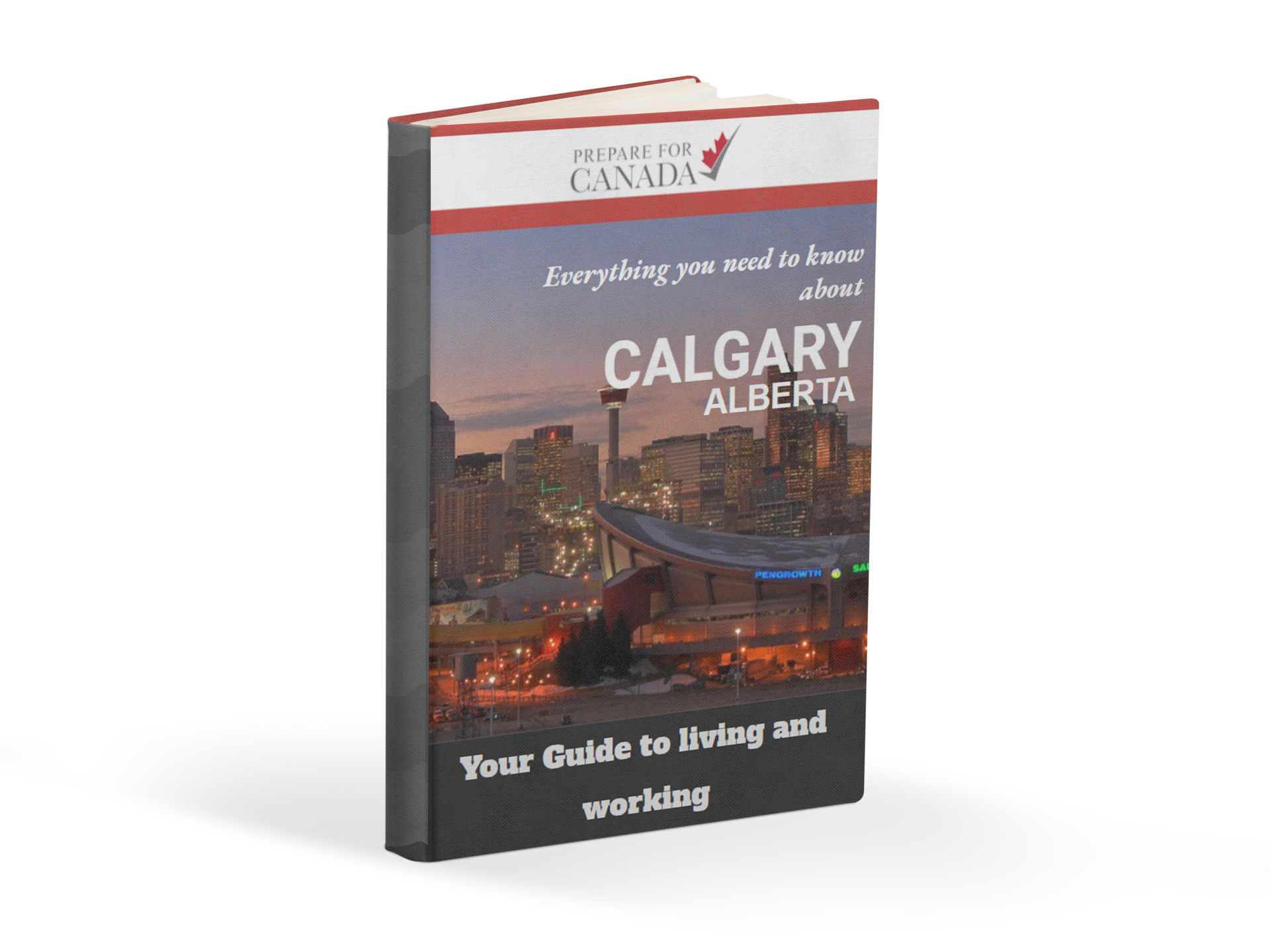 Calgary Ebook Cover 3D.png